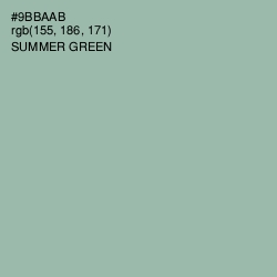 #9BBAAB - Summer Green Color Image